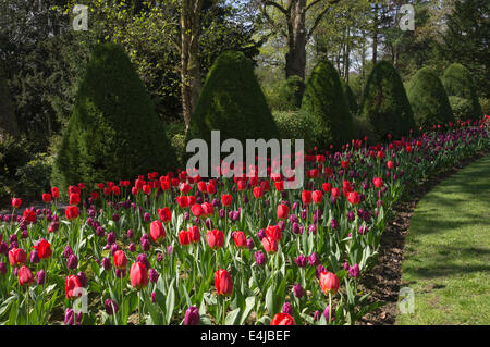 I giardini di Constable Burton Hall, North Yorkshire Foto Stock