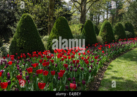 I giardini di Constable Burton Hall, North Yorkshire Foto Stock