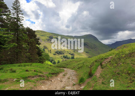 Grisedale da Lanty il Tarn, Patterdale, Lake District, Cumbria Foto Stock