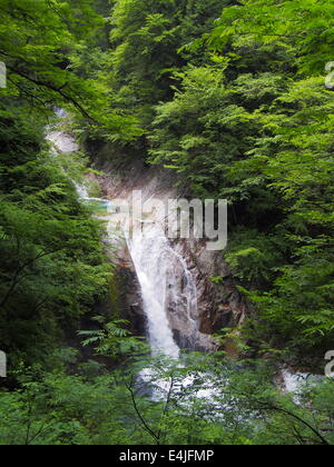 Nishizawa Valley in Yamanashi, Giappone Foto Stock