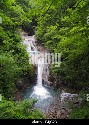 Nishizawa Valley in Yamanashi, Giappone Foto Stock