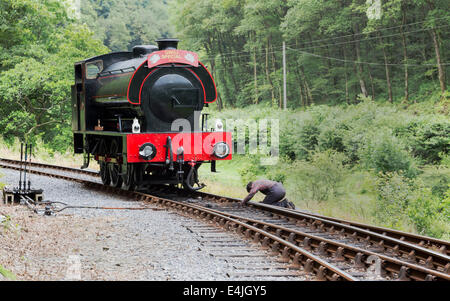 Il Gwili speciale motore di vapore. Il fuochista è controllare i punti sulla pista. Foto Stock