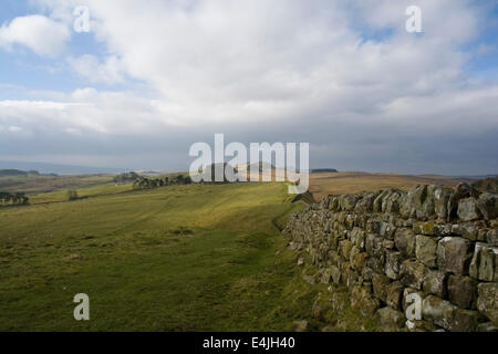 Parete di Adriano nei pressi di Housesteads Foto Stock