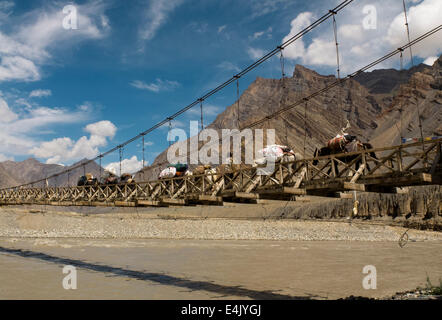 Trekking con i cavalli su un trekking in Zanskar valley. Foto Stock