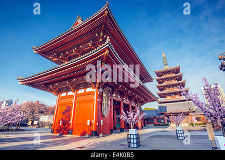 Il Tempio di Senso-ji di Asakusa, Tokyo, Giappone. Foto Stock