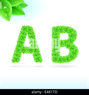 Sans serif font con foglia verde decorazione su sfondo bianco. A e B lettere Foto Stock