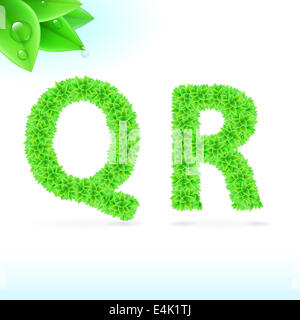 Sans serif font con foglia verde decorazione su sfondo bianco. Q e R lettere Foto Stock