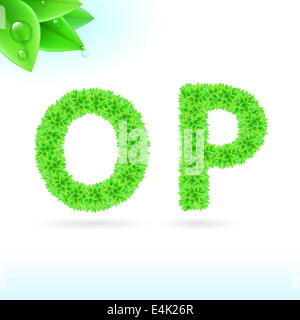 Sans serif font con foglia verde decorazione su sfondo bianco. O E P lettere Foto Stock