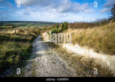 Vecchio cross-country percorso oltre il North Wessex Downs che mostra prevalente contenuto Chalk della collina Foto Stock