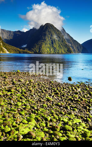 Milford Sound, Isola del Sud, Nuova Zelanda Foto Stock