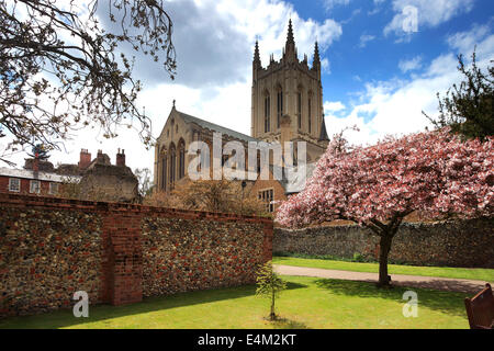 La molla vista su St Edmundsbury Cathedral, Bury St Edmunds città, contea di Suffolk, Inghilterra Foto Stock