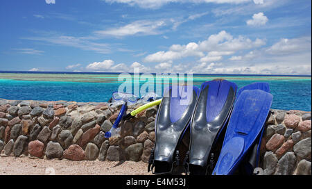 Maschera e pinne per lo snorkeling in Mar Rosso Foto Stock