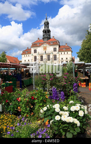 Pressione di stallo di fiori al mercato settimanale di fronte al municipio, Lueneburg, Lüneburg, Bassa Sassonia, Germania, Europa Foto Stock