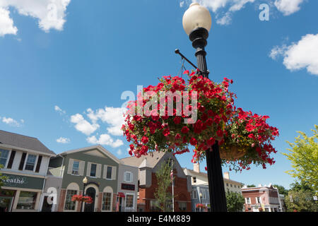 Nei cestini appesi di fiori in Fairport NY. Foto Stock