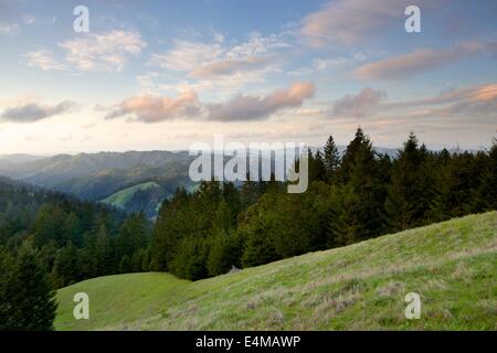 Tramonto su Bolinas Ridge, Mt. Tamalpais State Park, Marin County, California, in primavera. Foto Stock