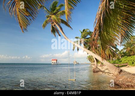 Spiaggia in scena a Ambergris Caye, Belize, nel mar dei Caraibi Foto Stock