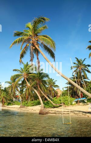 Spiaggia in scena a Ambergris Caye, Belize, nel mar dei Caraibi Foto Stock