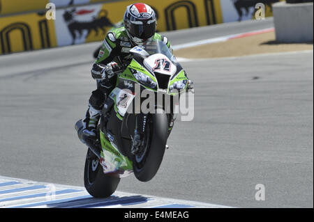 Monterey, California, USA. 13 Luglio, 2014. Kawasaki JEREMY GUARNONI della Francia (#11) compete in gara 1 durante il round 9 del FIM Superbike World Championship Tour a Laguna Seca dove Marco Milandri (#33) vince. © Scott Beley/ZUMA filo/ZUMAPRESS.com/Alamy Live News Foto Stock