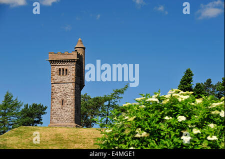 Il Balmashanner monumento, Forfar, Angus, Scozia Foto Stock