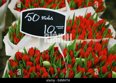 I tulipani in vendita in un mercato dei fiori di Amsterdam, Paesi Bassi Foto Stock