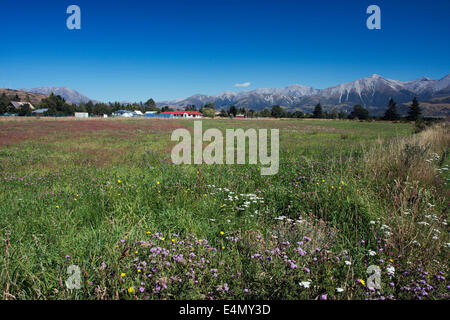 Springfield e le Alpi del Sud Foto Stock