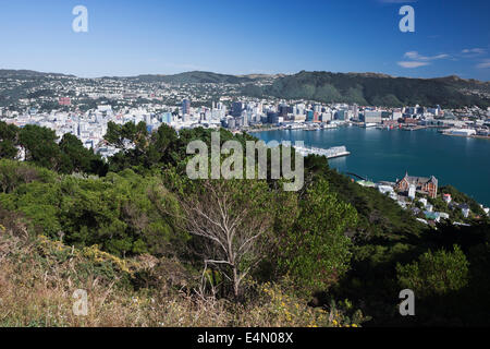 Panorama su Lambton Harbour visto dal Monte Victoria Foto Stock