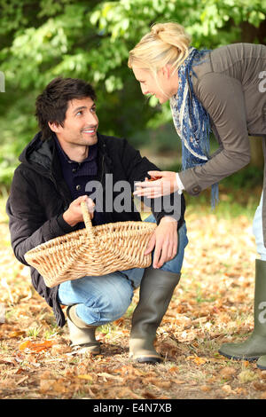 Accoppiare la raccolta delle castagne Foto Stock