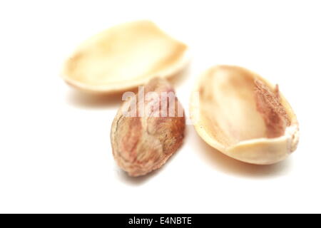 Pistacchio essiccato in primo piano Foto Stock