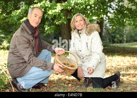 Paio di raccolta delle castagne Foto Stock