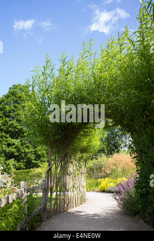 Willow Archway su giardino percorso ad RHS Harlow Carr. Harrogate, Inghilterra Foto Stock