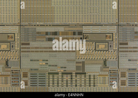 Macro-foto di chip a microcircuito su wafer di silicio. Concetto di tecnologia digitale, microcircuiti, concetto minuscolo, chip di silicio, circuito di primo piano Foto Stock