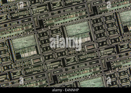 Macro-foto di 2 chip di microcircuito su wafer di silicio. Concetto di tecnologia digitale, microcircuiti, concetto minuscolo, chip di silicio, circuito di primo piano Foto Stock