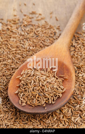 Essiccato cumino o semi di cumino in cucchiaio di legno Foto Stock