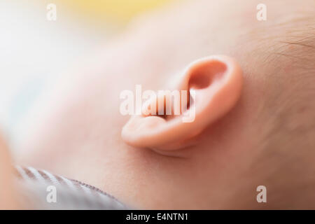 Close up baby boy (2-5 mesi) ear Foto Stock