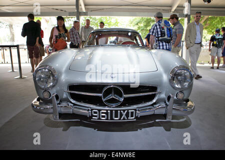 1955 Mercedes-Benz 300SL Gullwing sul display a Goodwood Festival della Velocità nelle vicinanze del Chichester in 2013 Foto Stock