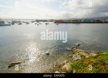 Stati Uniti, California, Monterey, vista tranquilla baia sulla giornata di sole Foto Stock