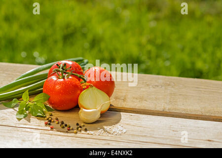 Pomodori freschi porri Cipolle Aglio basilico sale pepe rosso verde tavolo in legno all aria aperta sun estate Foto Stock