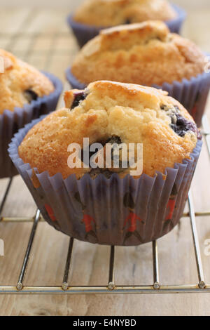 Pane appena sfornato muffin ai mirtilli Foto Stock
