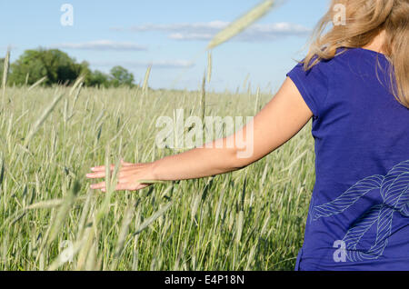 Donna mano lungo il verde alto ray estate Foto Stock