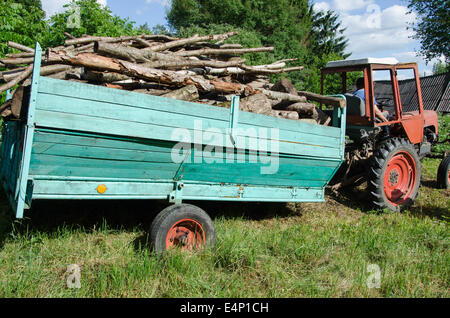 Il trattore con il rimorchio pieno caricato con legno di alberi di legna da ardere logs drive vicino alla foresta. Foto Stock