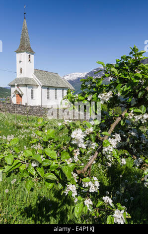 Kirche, Lustrafjorden, lucentezza, Sogn og Fjordane Fylke, Norwegen, Foto Stock