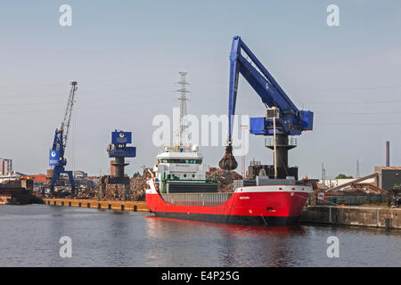 E-gru, rottami di caricamento con gru metallo riciclato sulla nave cargo presso Van Heyghen riciclaggio terminale di esportazione, porto di Ghent, Belgio Foto Stock