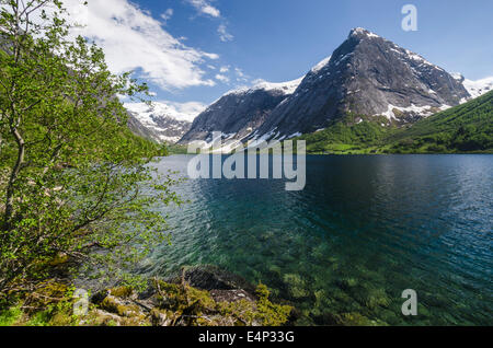 Landschaft am Kjoesnesfjorden, Joelster, Sogn og Fjordane Fylke, Norwegen Foto Stock