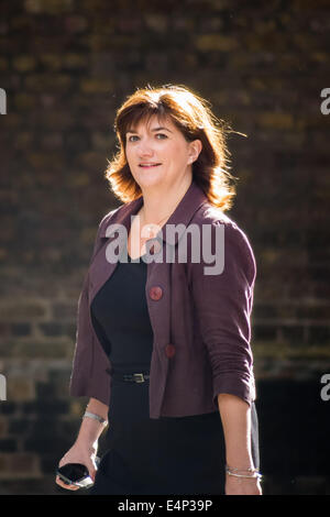 Londra, Regno Unito. Il 15 luglio 2014. Il Primo Ministro David Cameron annuncia il rimpasto di governo Credito: Guy Corbishley/Alamy Live News Foto Stock