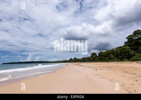 Rana rossa spiaggia Isla Bastimentos Bocas del Toro Panama Foto Stock