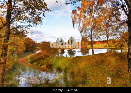 Il lago per la pesca sportiva di Avielochan in Speyside, Scozia durante l autunno/caduta. Golden brown foglie, ancora acque e cielo blu. Foto Stock