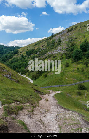 Dovedale valley come visto da di Thorpe Cloud, una collina nel Parco Nazionale di Peak District, REGNO UNITO Foto Stock