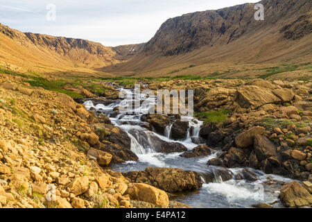 Winter House Brook scorre al di fuori di un glacially scolpiti peridotiti canyon nella sezione dagli altopiani del Parco Nazionale Gros Morne, Newf Foto Stock