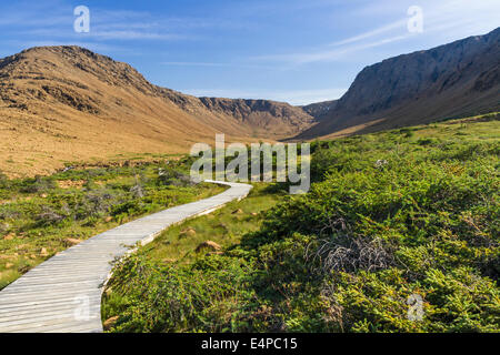 Una passerella curve sentiero verso un glacially scolpiti peridotiti canyon in gli alpeggi del Parco Nazionale Gros Morne, Terranova Foto Stock