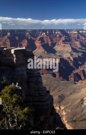 Il Grand Canyon visto dal Mather Point, South Rim, il Parco Nazionale del Grand Canyon, Arizona, Stati Uniti d'America Foto Stock
